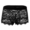 Unterhose Transparente Spitzenunterwäsche Gay Durchsichtige Boxershorts Sissy Bustrap Bandage Panties Sheer Mesh Trunk