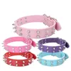 Colliers pour chiens Chats Collier anti-morsure clouté en cuir réglable PU Pet Cat Training Supply