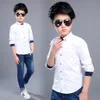 Kids Shirts Teenage boy shirt Long sleeved solid shirt Boy's lapel shirt White children's and youth clothing 6 8 10 12 14 years old 230406