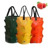 プランターポットガーデン植栽バッグStberry Grow 3L Mtimouth Vertical Flower Herb Herb Tomato Planter Bag