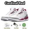 مصمم أحذية غير رسمية Jordddanes 3S Jumpman Basketball Shoes 3 Mars Stone White Cement Cardinal Red Black Gold Kumquat Pine Green Sport Sneakers