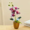 Dekorative Blumen Kreativer 3D-Druckfilm Kleine fünfblütige Phalaenopsis-Bonsai-Simulations-Blumen-Mode-Heimdekoration