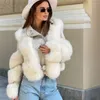 Cappotti e giacche invernali in pelliccia sintetica da donna Giacca da moto da donna di alta qualità Elegante soffice cappotto corto Capispalla di lusso