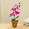 Dekorative Blumen Kreativer 3D-Druckfilm Kleine fünfblütige Phalaenopsis-Bonsai-Simulations-Blumen-Mode-Heimdekoration