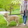 Collares para perros Correa de plomo Cuerda de tracción para mascotas Tirando para suministros