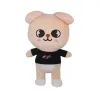 Pluche speelgoed zwerfkinderen 20 cm cartoon gevulde dieren plueshies pop wolf chan puppym kinderen volwassenen fans cadeau