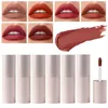 Lip Gloss Velvet Mist Face Mud Lipstick impermeável à prova dura de manchas múltiplas para mini