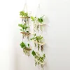 Vasi Propagatore idroponico per piante da appendere alla parete a 3 livelli con stazione di propagazione trasparente con supporto in legno
