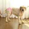 Dog Apparel Diaper Pants Fashionable Elastic Band Design Convenient Cartoon Print Pet Underwear Accessories