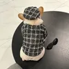 Luxe honden trui jas cap mode warme gebreide kleding schnauzer bichon corgi teddy gouden gesp haar ornamenten