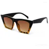 Lunettes de soleil prix de gros mode femmes surdimensionnées élégantes monture œil de chat lunettes de soleil dégradé UV400 Protection nuances teintées