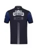 Herr T-shirts F1 Team Special Edition T-shirt unisex Lapel Polo Shirt F1 Officiell anpassad racingdräkt