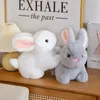 Jouets en peluche lapin mignon de 30cm, Animal en peluche, jouets pour bébé, poupée, jouet d'accompagnement pour le sommeil, porte-clés de 15cm, cadeaux pour enfants