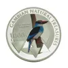 Искусство и ремесла памятная монета африканская монета Blue Phoenix Kingfisher Memoryorative Coin