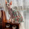 Cat Costumes Sphynx Slip Dress Gonna in cotone floreale in pizzo per abiti senza peli Materiale morbido Devon Rex Summer Spring Outwear