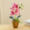 Fleurs décoratives film d'impression 3d créatif petit Phalaenopsis à cinq fleurs bonsaï Simulation fleur mode décoration de la maison