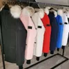 Designer 23SS Jackets Men's Down Parkas Winter Cotton Luxury Women's Puffy Jackets Windbreakers Couples Custom Designer Canadian Mens Womens Down Jacket