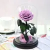 Flores decorativas eternas rosas preservadas em cúpula de vidro para sempre flor para o natal casamento favor mães dia dos namorados presente feminino