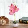 Couronnes de fleurs décoratives Phalaenopsis à trois fourchettes fleur artificielle bonsaï décoration créative plante en pot décor à la maison cadeau