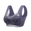 Live sexy dentelle grande beauté dos fixe tasse mince collection sous-vêtements sans couture femmes anti affaissement soutien-gorge PGP2