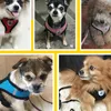 Collari per cani Set di imbracature e guinzagli per cuccioli - Gilet in rete regolabile traspirante per cani di piccola e media taglia Accessori per gatti