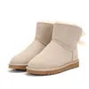 Tasman Slippers Chestnut Shoes Designer Ugg UG Tazz Boots Ultra Platform Luxury Fashion Suede Snoed Winter Warm Bootes Fur Sheepskin Ankel Booties with Box