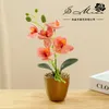 Dekorative Blumen Kreativer 3D-Druckfilm Kleine fünfblütige Phalaenopsis-Bonsai-Simulations-Blumen-Mode-Heimdekoration