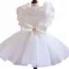 Costumes de chat vêtements pour animaux de compagnie robe de mariée blanche pour chiens vêtements petit mignon mince printemps été mode tendance fille Yorkshire accessoires