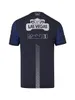 F1 Team Special Edition T-Shirt Unisex Lapel Polo Gömlek F1 Resmi Özel Yarış Takım