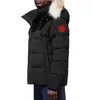 Tasarımcı Down Ceket Lüks Yüksek Kaliteli Erkek Kış Paltoları Kadın Parka Ceket Marka Ceketleri Rüzgar Geçirmez Nakış Sokak Giyim Dış Giyim