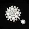 Pins Brooches Retro Light Luxury Freshwater Pearl Flower brooch High grade Suit Accessories Coat Pins Exquisite Snowflake Zircon breastpin Q231107