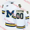 2023 Frozen de quatro Michigan Jersey Mike Mike Cammaller Eric Ciccolini Matty Beniers Carl Hagelin Kent Johnson Mike Knúble Wen Power Red Berenson Jerseys Custom