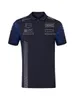 2023 Nuova maglietta F1 Racing Team Maglietta polo pilota di Formula 1 Maglietta estiva per tifosi T-shirt Maglietta da donna per uomo Taglie forti