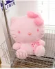 Nuovi simpatici giocattoli di peluche a forma di cartone animato, figurine di gatti rosa con fiori di ciliegio, morbido tessuto di peluche, vendita all'ingrosso in fabbrica di cuscini