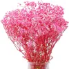 Flores decorativas 30g/70g por grupo rosa gypsophila flores secas decoração de móveis flores realmente botões de plantas mobiliário doméstico sala de estar