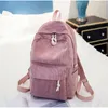 Schultaschen Wild Senior High Studenten Koreanische Persönlichkeit Plüsch College Wind Umhängetasche Einfarbig Damen Rucksack