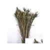 Feathers Pure Natural Peacock Imported Diy Household Vase Decoration 2530 Cm W816 Drop Delivery Office School Business Industrial Re Dhtjx