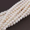 Chaînes 7.5-8.5mm Haute Qualité Ronde Naturel Blanc Véritable Perle D'eau Douce Collier Chaîne Fabrication de Bijoux