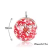 Charms Trendy Handmade Dried Flowers Pendant Sier Charm For Necklace Diy Highgrade Colorf Glass Hoop Accessories Jewelry 0T