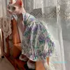 Костюмы для кошек сфинкс платье с кружевным цветочным хлопчатобу