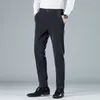 Pantalones de hombre Otoño de alta calidad a rayas Casual elástico grueso moda elegante Pantalones rectos de negocios de talla grande 28-38