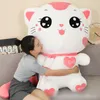 40cm Popüler Sevimli Kahverengi Kitten Peluş Bebek Karikatür Pembe Kedi Peluş Yastık Hediyesi Toptan Satış