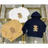 Designerkleding herfst/winter Biscuit Bear driekleurige trui