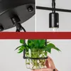 Pendant Lamps Modern Rural Black Painted Geometrical Iron Holder Chain LED Light For Living Room Bar Club Green Plant Not Included