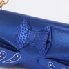 Dress Shoes Royal Blue Special Design Decorated with Shinning Rhinestones Design Shoes and Bag Set For Women Luxury Wedding Party 231108