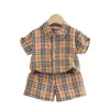 Zomer Jongenskleding Sets Golf Plaid Shirts Korte 2 stuks/sets voor Kinderen Kinderen Casual Sportpakken Baby Trainingspakken Kleding hoogste kwaliteit.