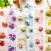 Cadeau cadeau 50mm 2m rouleau de fleurs colorées PET ruban transparent autocollants bandes de décoration faisant scrapbooking autocollant bricolage journaling planificateur