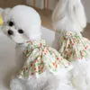 Hundekleidung Frühling und Sommer Haustierkleidung Süßes süßes Erdbeerdruckkleid Spitzenrock Katzenkleidung Teddy