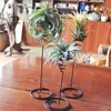 Garden Supplies Other Q9QF Air Plant Holder 3 Sizes Plants Container Iron Flower Stand Tillandsia For Displaying Home Office Desktop