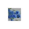 Fleurs Décoratives Couronnes Cadeaux Promotionnels Roses Artificielles Unique Rose Valentine Pêche Drop Livraison Maison Jardin Festive Party S Dhna3